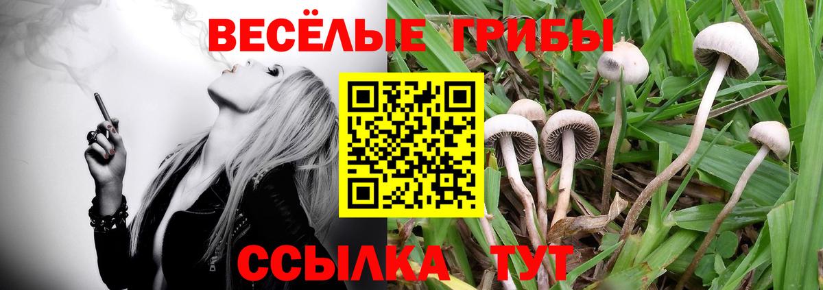 Псилоцибиновые грибы Psilocybe  Галлюциногенные грибы ЛСД  Камышлов  Вход с VPN 