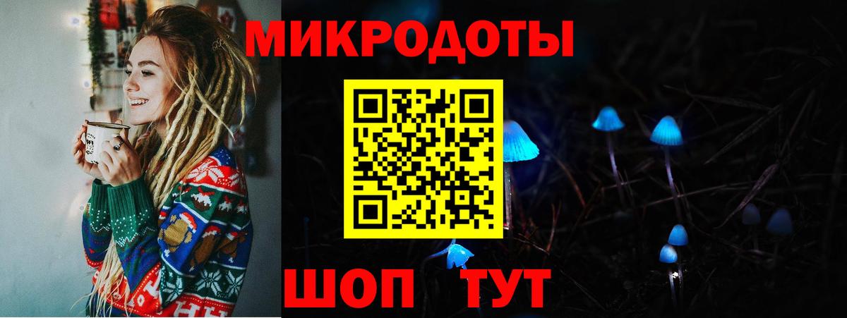 Псилоцибиновые грибы мухоморы Камышлов